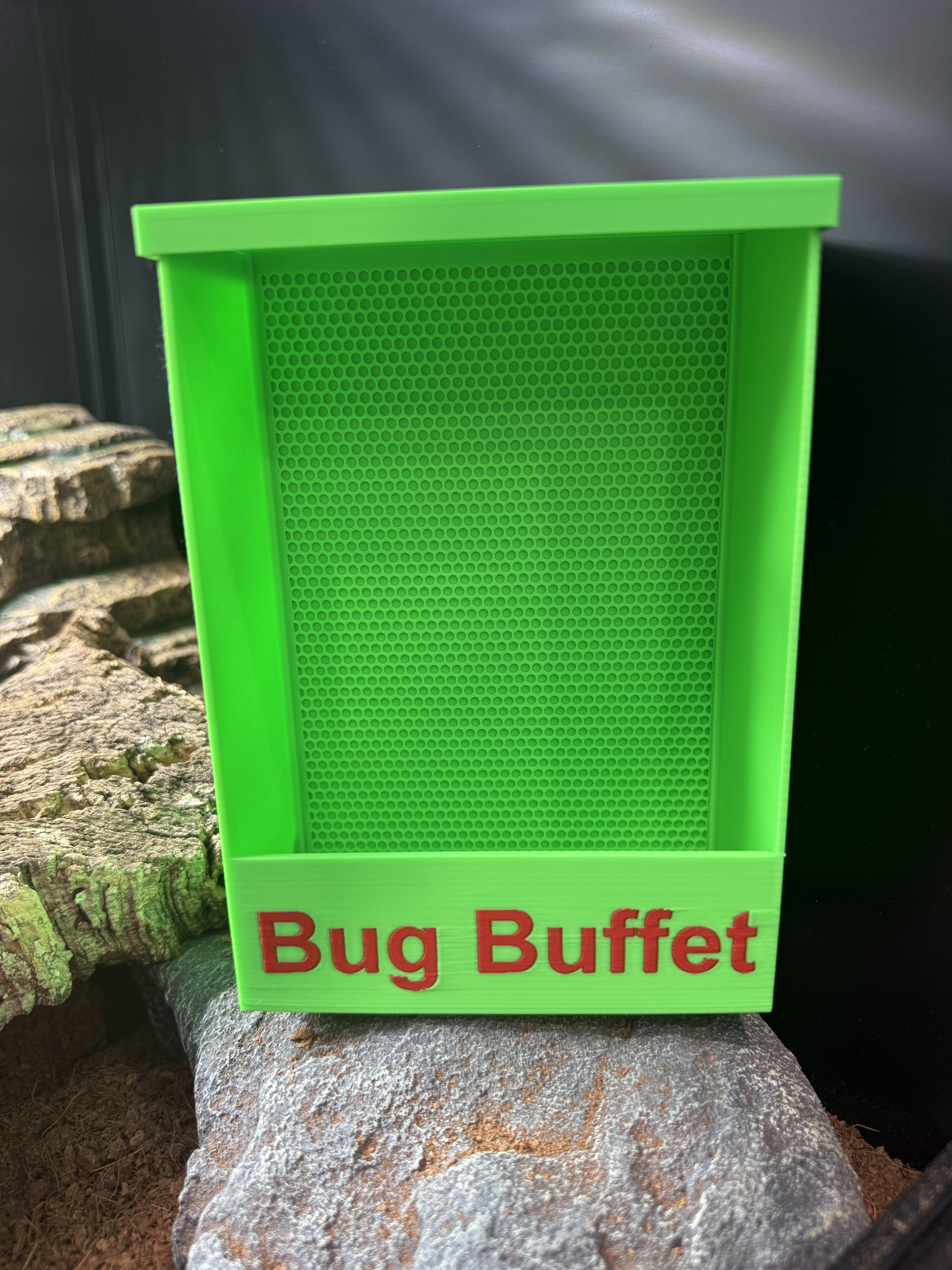 Reptile Bug Buffet Feeder Box